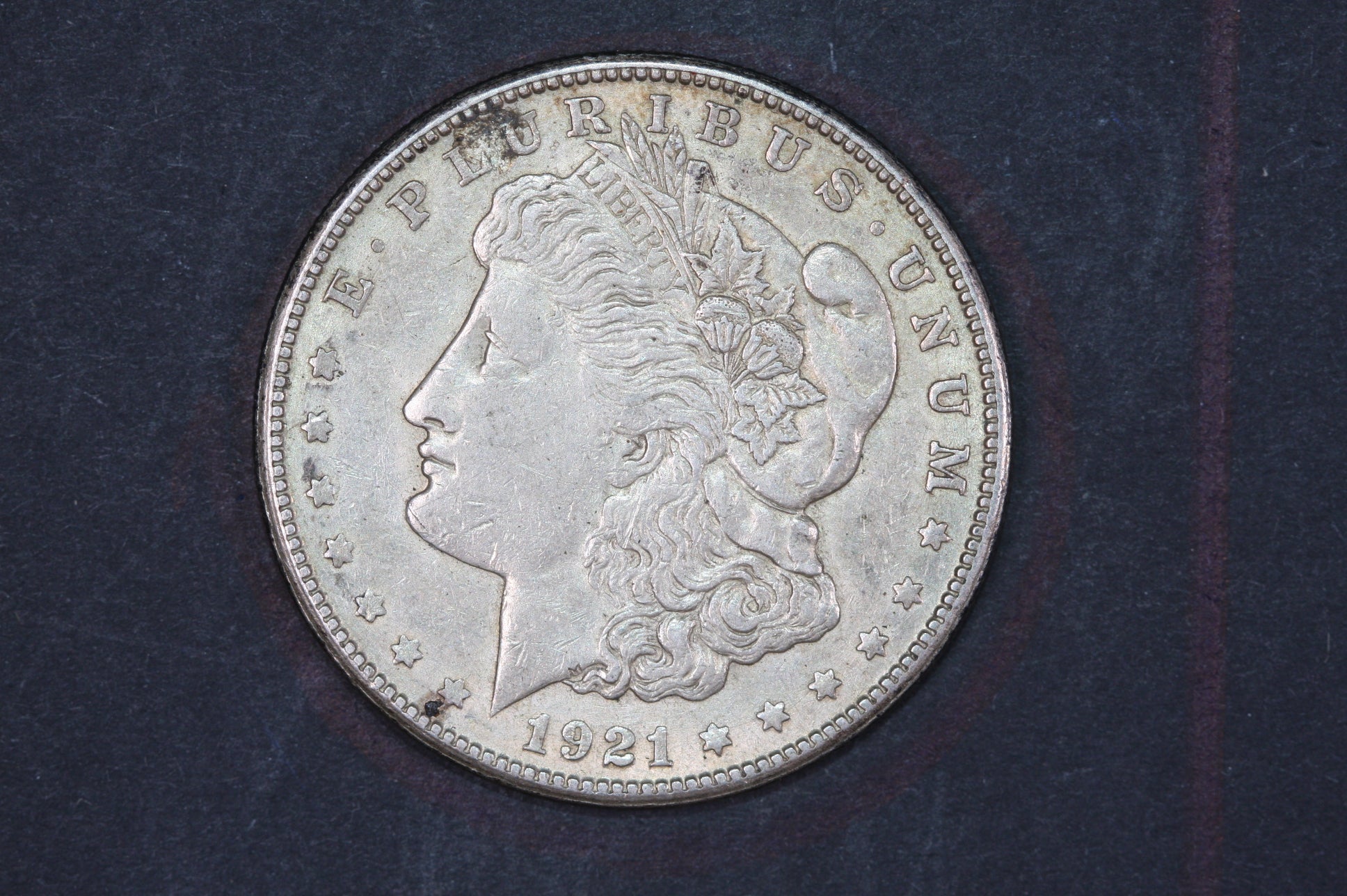 1921 Morgan Silver Dollar Circulated - Spring Hill Coin Shop