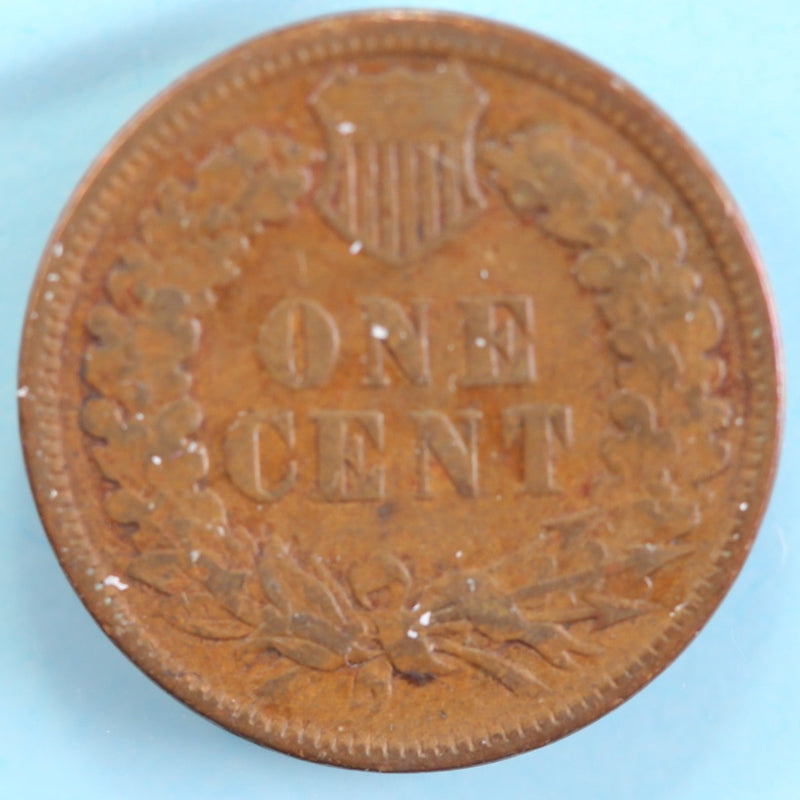 1881 Indian Head Cent, Circulated Affordable Coin, Store