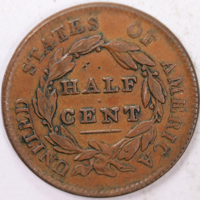 1829 Draped Bust Half Cent, Extra Fine Circulated Coin. Store