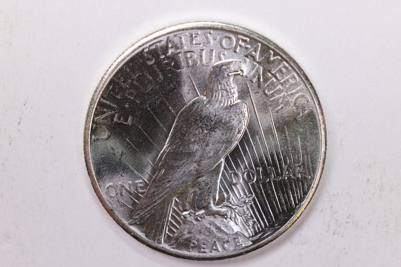 1925 Peace Silver Dollar., Gem Mint State Condition., Store Sale