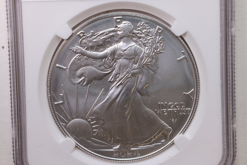 2024-W Burnished American Silver Eagle., NGC MS-70., Store