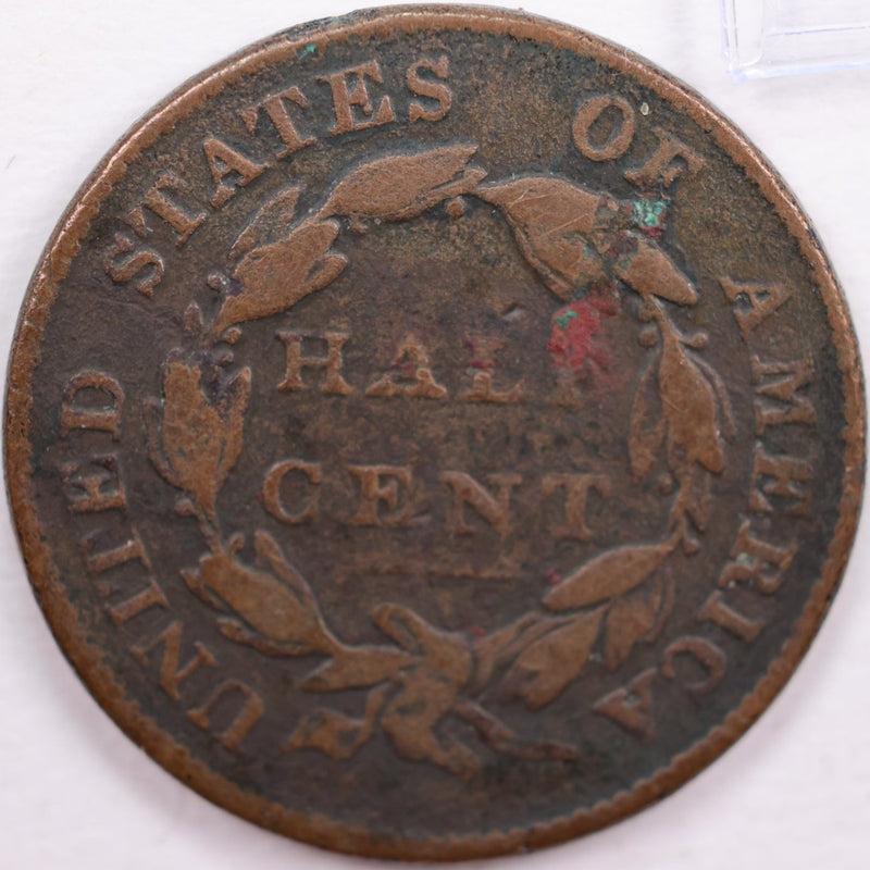 1826 Classic Head Half Cent, Fine Circulated Coin, Store