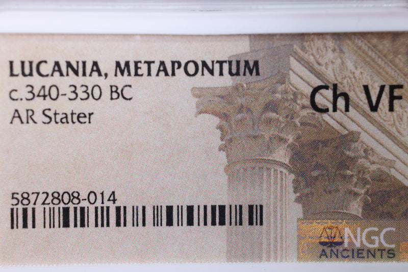 Lucania, Metapontum., 340-330 B.C., NGC Certified CH VF., Store