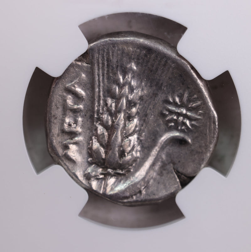 Lucania, Metapontum., 330-280 B.C.., NGC Certified Very Fine., Store