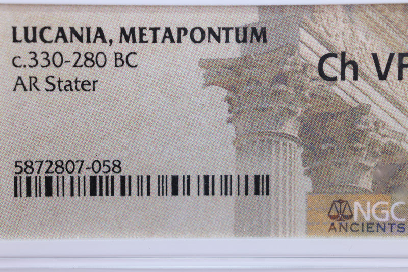 Lucania, Metapontum., 330-280 B.C.., NGC Certified Very Fine., Store