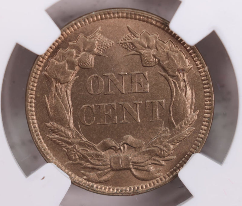 1858 Flying Eagle Cents., Large Letters., NGC MS-65., Store