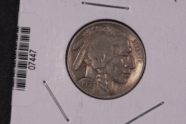 1936 Buffalo Nickel, Average Circulated Coin.  Store #07447