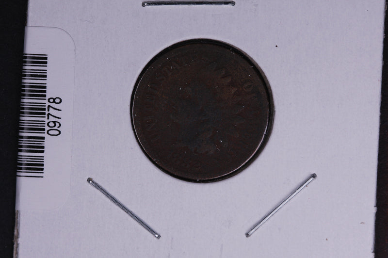 1882 Indian Head Small Cent.  Affordable Collectible Coin. Store