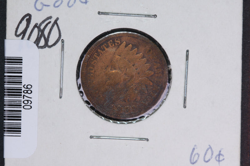 1883 Indian Head Small Cent.  Affordable Collectible Coin. Store