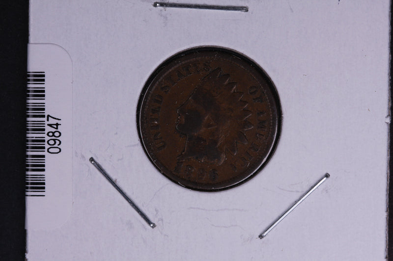 1896 Indian Head Small Cent.  Affordable Collectible Coin. Store