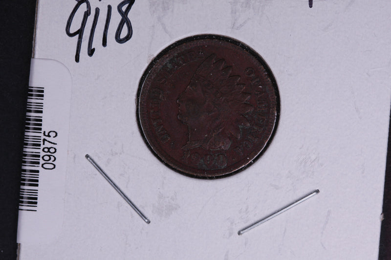 1900 Indian Head Small Cent.  Affordable Collectible Coin. Store